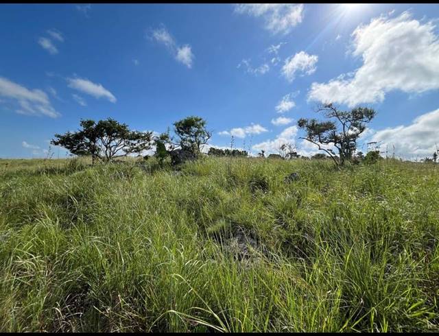 FARM FOR SALE IN BANNERS REST